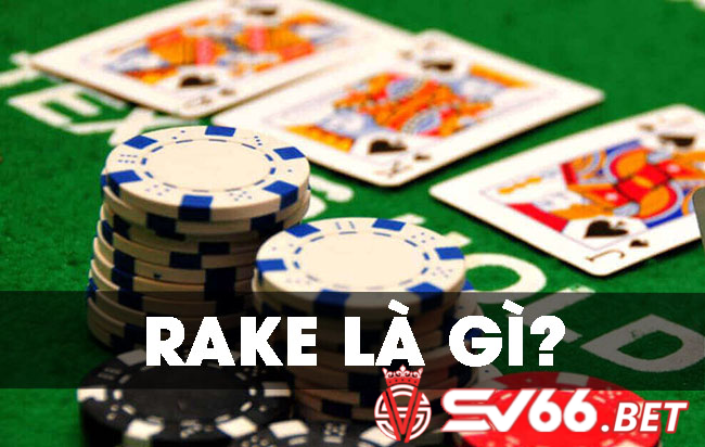 Giải thích rake là gì trong Poker?