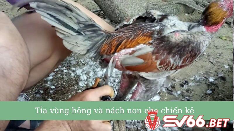 Tỉa lông vùng hông & nách non sao cho đúng?