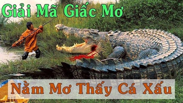 Mơ thấy một con cá sấu đánh con gì?